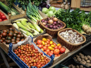 Forum Gespräch - Isst der Mensch, was er ist?